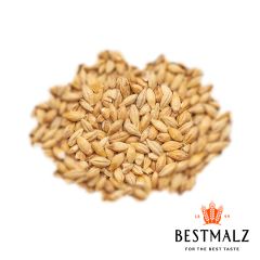 Malto Best Acidulated (Sauer) - 1 kg