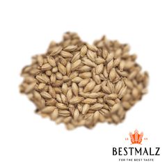 Malto Best Biscuit - 1 kg