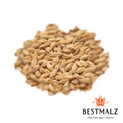 Malto Best Caramel® Hell BIO - 25 kg