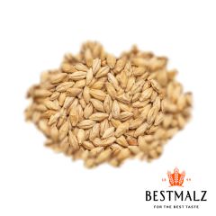 Malto Best Pale Ale - 1 kg