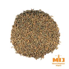 Malto Dingemans Rye (Segale) - 5 kg