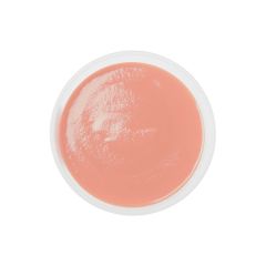 Purea di Guava - 20 kg