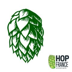 Luppolo Strisselspalt - 100 g Pellets T90