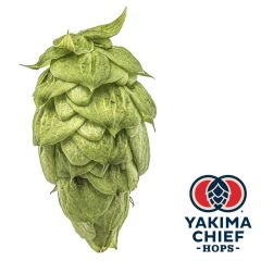 Luppolo Yakima Chief Hops® Nugget - 5 kg Pellets T90