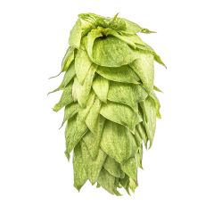 Luppolo Palisade® - 1 kg Pellets T90