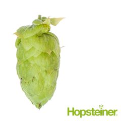 Luppolo Polaris - 100 g Pellets T90