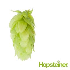 Luppolo Spalt Spalter - 1 kg Pellet T90