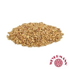 Malto Weyermann® CaraAmber® - 1 kg