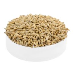 Malto Italmalt Pilsen - 25 kg
