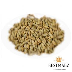 Malto Best Rye (Segale) - 25 kg