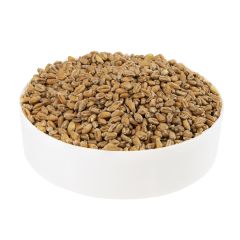 Malto Italmalt Wheat - 5 kg