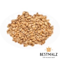 Malto Best Wheat - 25 kg