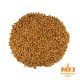 Malto Dingemans Special B® (Cara 300) - 25 kg