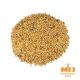 Malto Dingemans Cara Vienna (Cara 50) - 5 kg