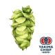 Yakima Chief Hops® Cryo Hops® pellets Dolcita - 5 kg