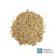 Malto Sladovny Soufflet Floor Malted Pilsen - 25 kg