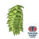 Luppolo Yakima Chief Hops® HBC 638 - 5 kg Pellets T90