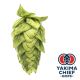 Luppolo Yakima Chief Hops® Cascade - 5 kg Pellets T90