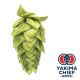 Luppolo Yakima Chief Hops® Cascade - 5 kg Coni