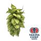 Luppolo Yakima Chief Hops® Cashmere - 5 kg Pellets T90