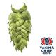 Yakima Chief Hops® Cryo Hops® pellets Idaho 7® - 5 kg