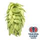 Luppolo Yakima Chief Hops® Palisade® - 5 kg Pellets T90