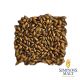 Malto Simpsons Brown (Coffee) - 5 kg