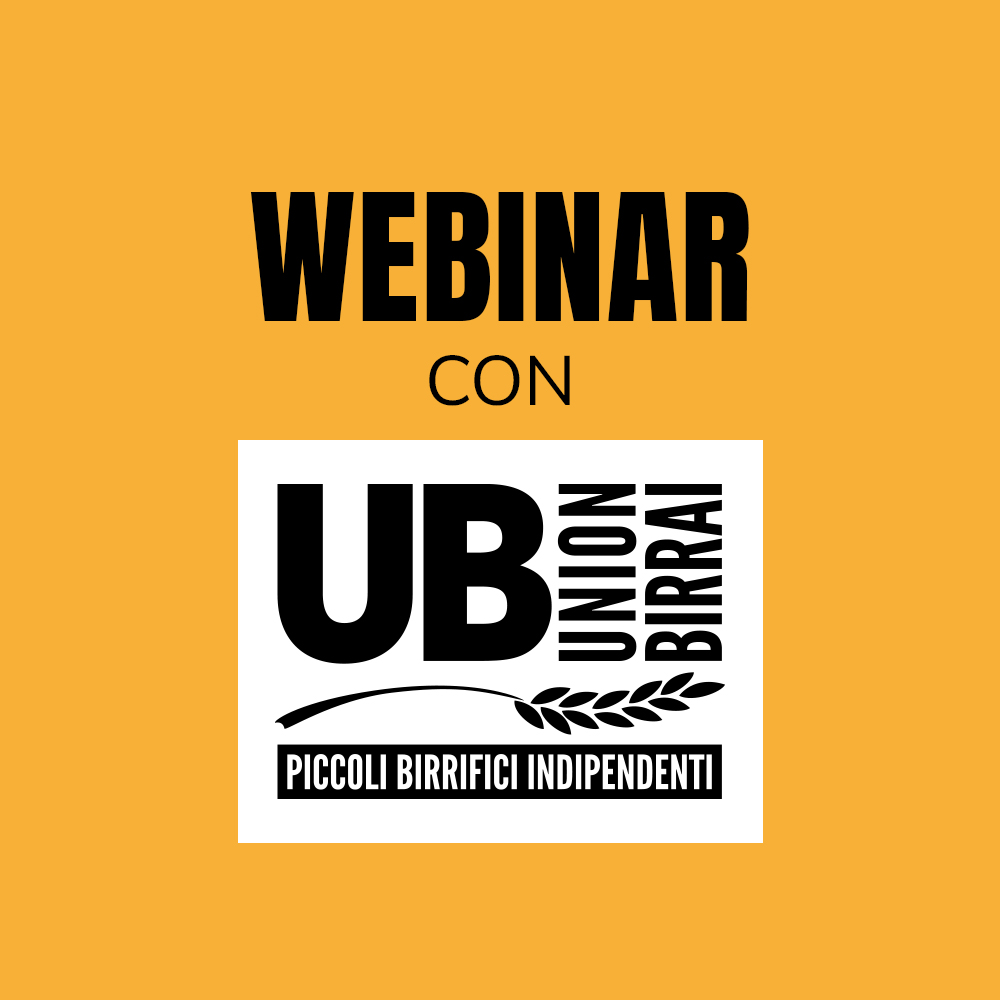 Webinar Unionbirrai